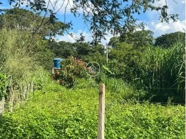 Imagem 7: Sítio à Venda em Januária/MG – Oportunidade Imperdível