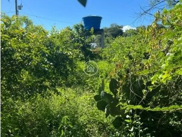 Imagem 9: Sítio à Venda em Januária/MG – Oportunidade Imperdível