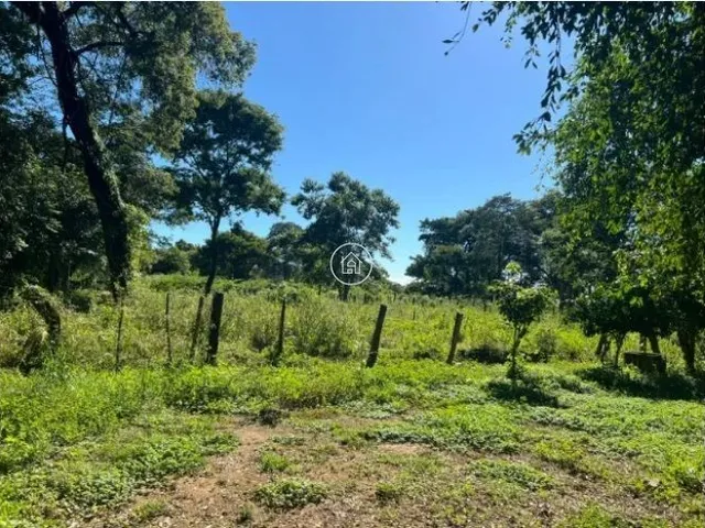 Imagem 8: Sítio à Venda em Januária/MG – Oportunidade Imperdível