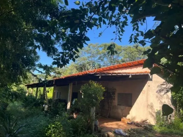 Imagem 12: Sítio à Venda em Januária/MG – Oportunidade Imperdível