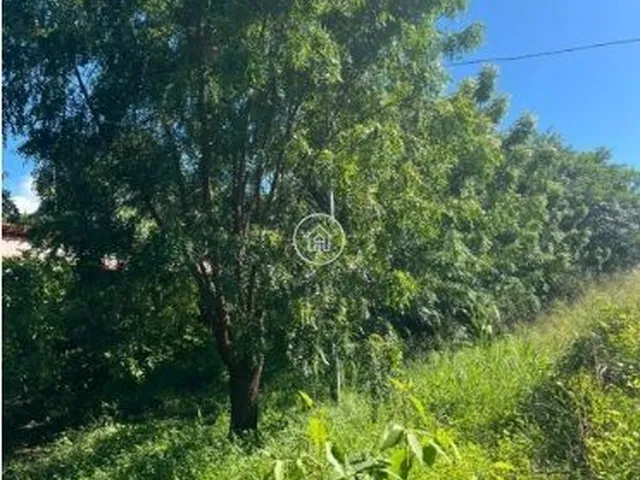 Imagem 11: Sítio à Venda em Januária/MG – Oportunidade Imperdível