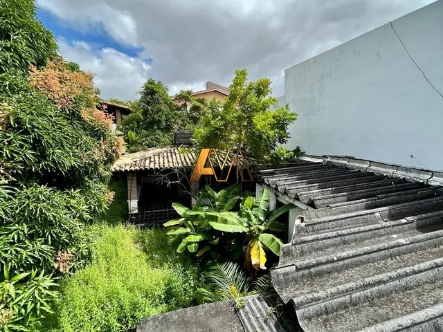 Imagem 7: Terreno comercial