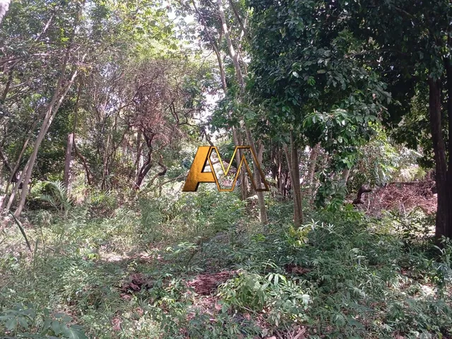 Imagem 5: Terreno à venda no bairro Monte Gordo (Monte Gordo) - Camaçari/BA