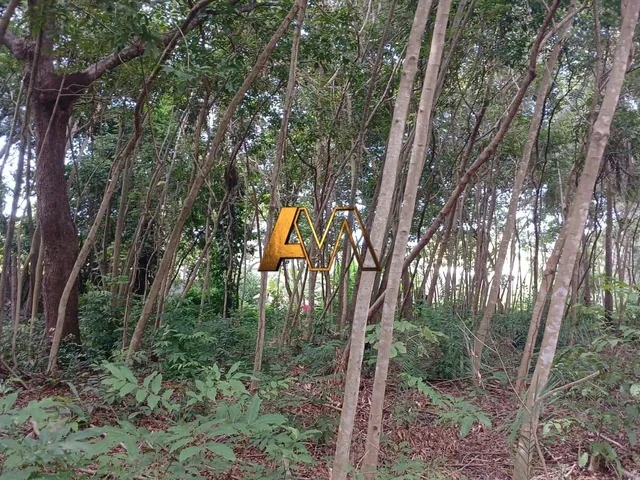 Imagem 3: Terreno à venda no bairro Monte Gordo (Monte Gordo) - Camaçari/BA