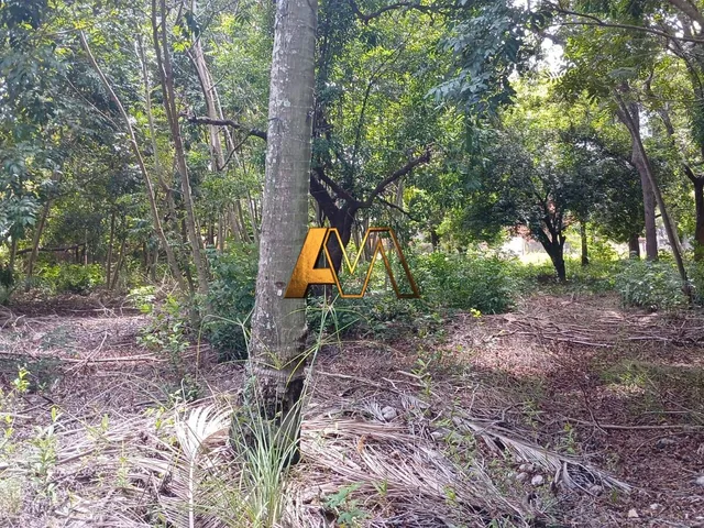 Imagem 16: Terreno à venda no bairro Monte Gordo (Monte Gordo) - Camaçari/BA