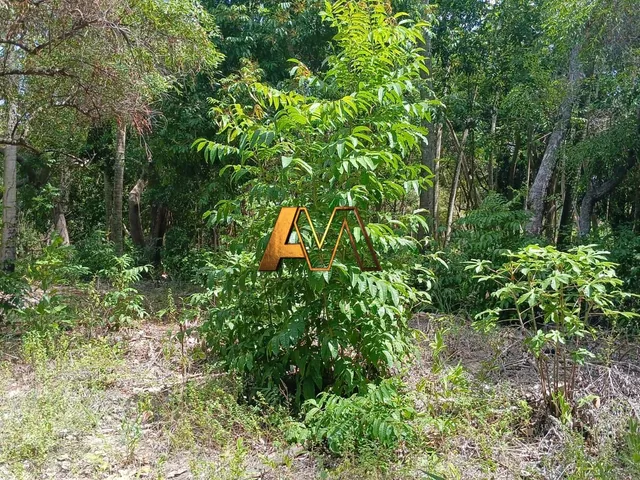Imagem 13: Terreno à venda no bairro Monte Gordo (Monte Gordo) - Camaçari/BA