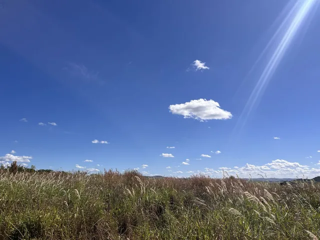 Imagem 2: Terreno em Condomínio à Venda na Região da Beia em Patos de Minas MG