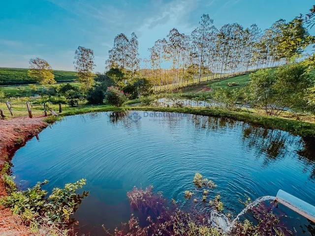 Imagem 4: SITIO RURAL em ALTEROSA - MG, CORRENTEZA