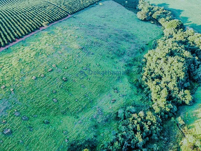 Imagem 10: SITIO RURAL em ALTEROSA - MG, CORRENTEZA