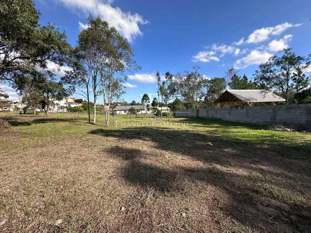 Imagem 2: Terreno à venda em Piraquara, Borda do Campo, 428m²