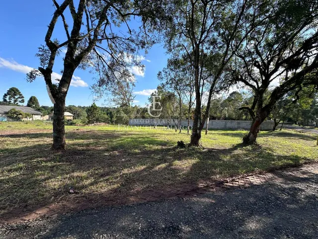 Imagem 3: Terreno à venda em Piraquara, Borda do Campo, 428m²