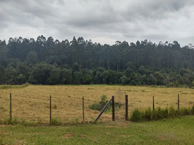 Imagem 13: CASA RESIDENCIAL em RIO CLARO - SP, SAÚDE