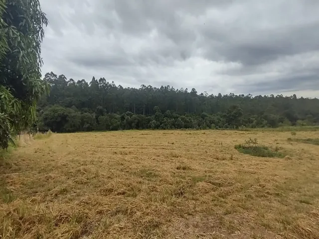 Imagem 4: CASA RESIDENCIAL em RIO CLARO - SP, SAÚDE