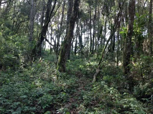 Imagem 5: Vendo excelente terreno com pequeno aclive em rua asfaltada próximo a Represa do