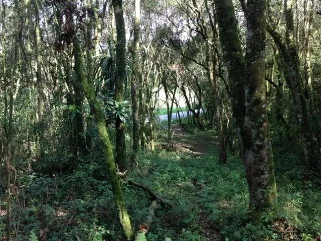 Imagem 7: Vendo excelente terreno com pequeno aclive em rua asfaltada próximo a Represa do