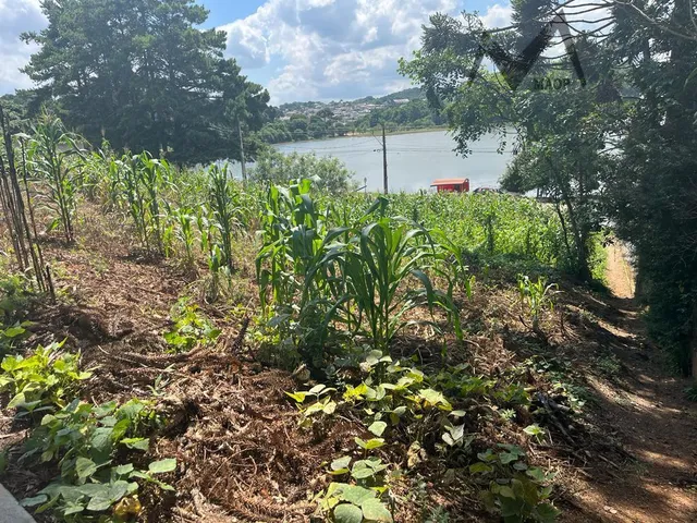 Imagem: Excelente oportunidade Terreno na Rua Eduardo