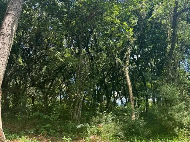 Imagem 2: Excelente oportunidade Terreno na Rua Eduardo Sprada no Parque Passauna