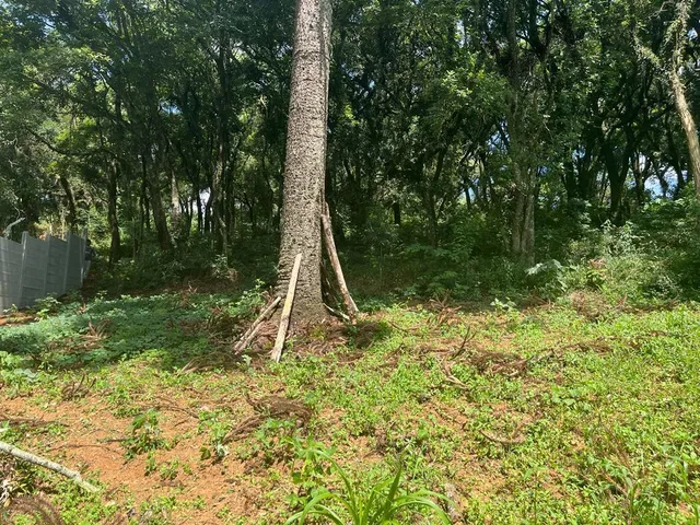 Imagem 5: Excelente oportunidade Terreno na Rua Eduardo Sprada no Parque Passauna