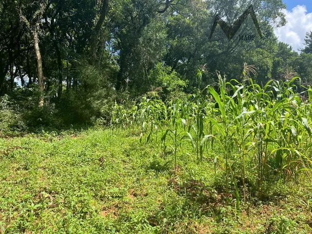 Imagem 3: Excelente oportunidade Terreno na Rua Eduardo Sprada no Parque Passauna