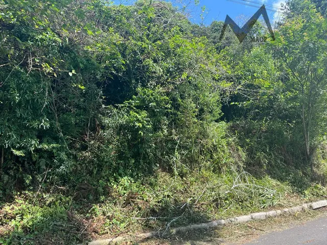Imagem 7: Excelente oportunidade Terreno na Rua Eduardo Sprada no Parque Passauna
