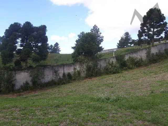 Imagem 6: Excelente terreno ao lado EcoUmbrella