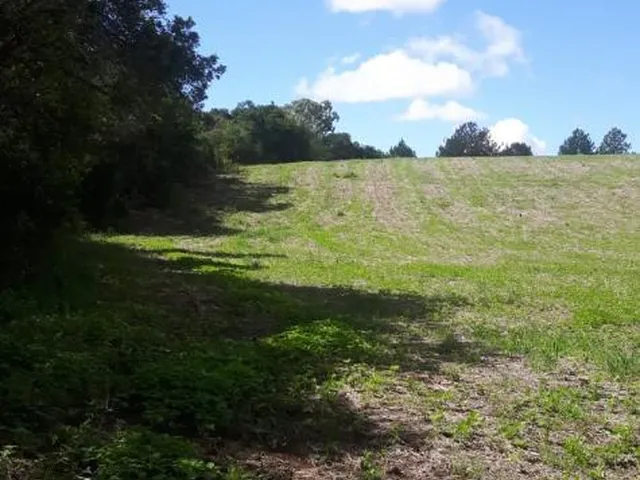 Imagem 10: Excelente terreno ao lado EcoUmbrella