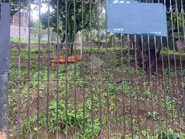Imagem: Terreno 362,23