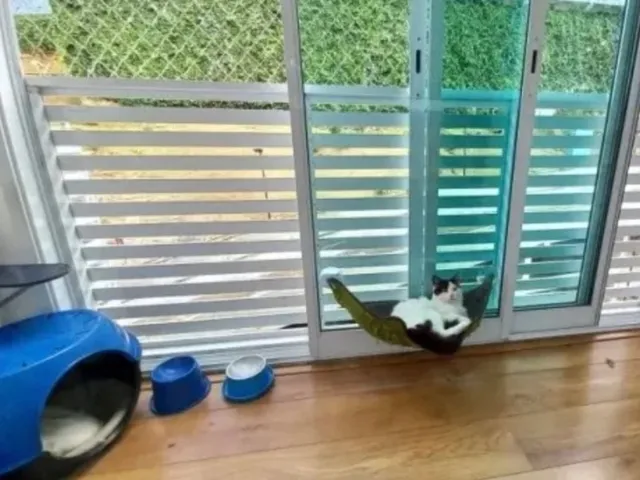 Imagem 13: Apartamento à venda em Petrópolis-RJ no bairro Coronel Veiga: 2 quartos, 1 suíte, 2