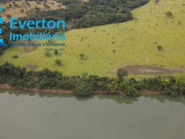 Imagem 14: Fazenda de 47,60 Alqueires à venda em Ipameri-GO, nas margens do Rio Corumbá: 230,40
