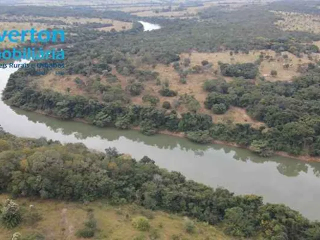 Imagem 4: Fazenda de 47,60 Alqueires à venda em Ipameri-GO, nas margens do Rio Corumbá: 230,40
