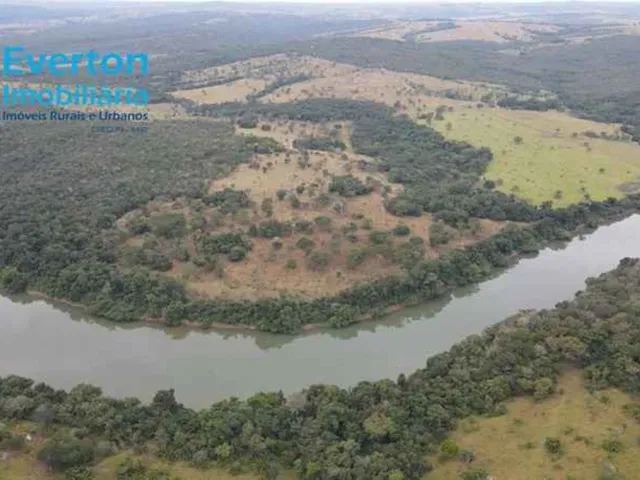 Imagem 11: Fazenda de 47,60 Alqueires à venda em Ipameri-GO, nas margens do Rio Corumbá: 230,40