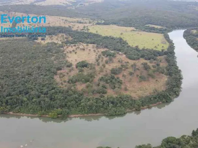 Imagem 9: Fazenda de 47,60 Alqueires à venda em Ipameri-GO, nas margens do Rio Corumbá: 230,40