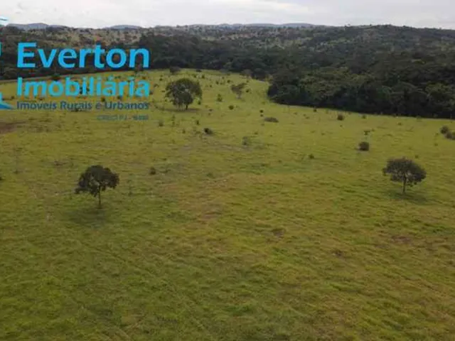 Imagem 13: Fazenda de 47,60 Alqueires à venda em Ipameri-GO, nas margens do Rio Corumbá: 230,40