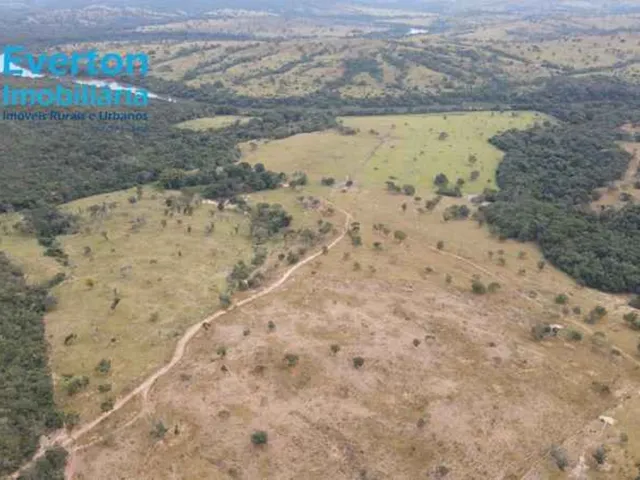 Imagem 7: Fazenda de 47,60 Alqueires à venda em Ipameri-GO, nas margens do Rio Corumbá: 230,40