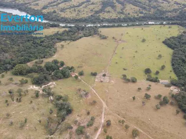 Imagem 16: Fazenda de 47,60 Alqueires à venda em Ipameri-GO, nas margens do Rio Corumbá: 230,40