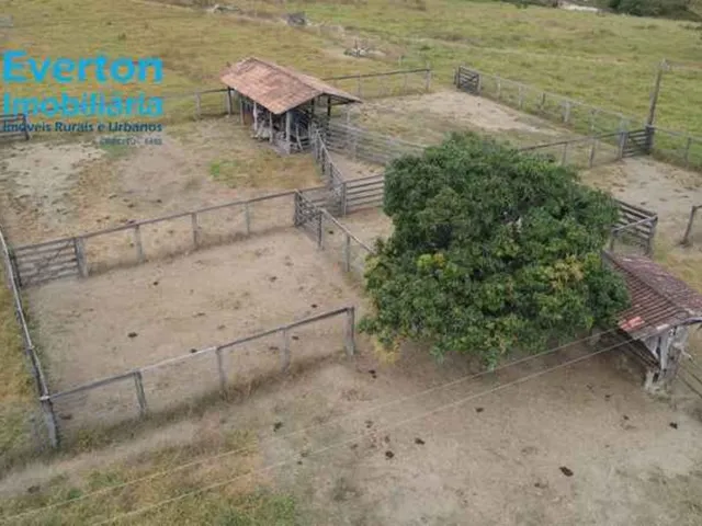 Imagem 2: Fazenda de 47,60 Alqueires à venda em Ipameri-GO, nas margens do Rio Corumbá: 230,40