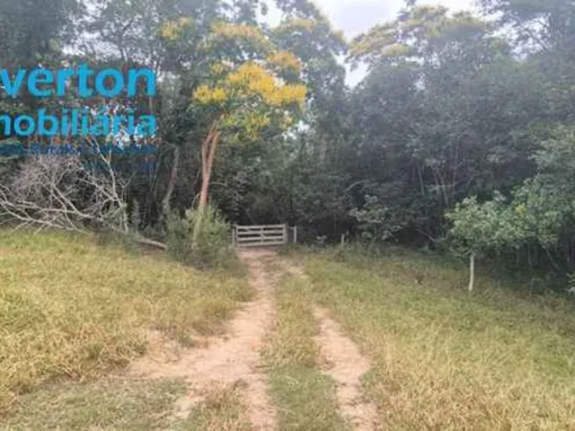 Imagem 10: Fazenda de 47,60 Alqueires à venda em Ipameri-GO, nas margens do Rio Corumbá: 230,40