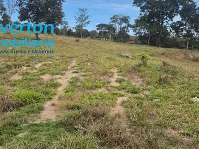 Imagem 5: Fazenda de 47,60 Alqueires à venda em Ipameri-GO, nas margens do Rio Corumbá: 230,40