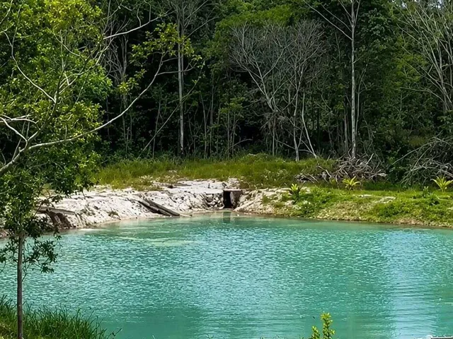 Imagem: Sítio Produtivo com Cascata, Nascentes