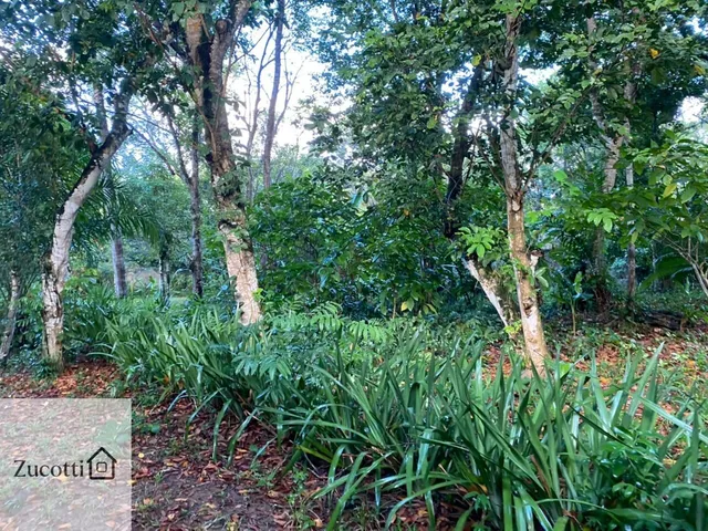 Imagem 10: Terreno excelente no centro do Arraial d'ajuda BA ideal para condomínio