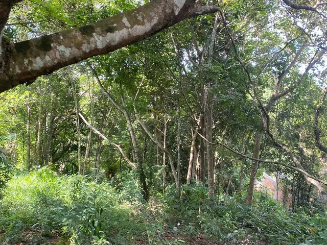 Imagem 8: Terreno Lote, em Vilas do Arraial , em Arraial d'ajuda , 468 m²