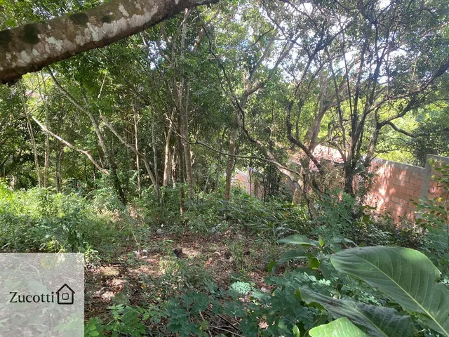 Imagem 14: Terreno Lote, em Vilas do Arraial , em Arraial d'ajuda , 468 m²