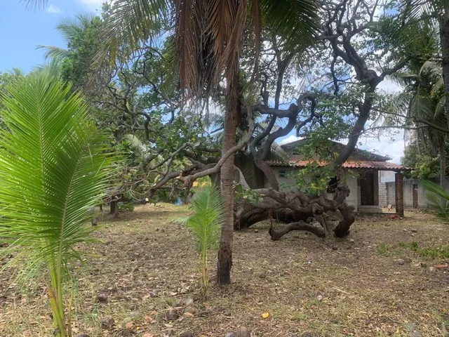 Imagem 2: OLHE que oferta de terreno compre para morar ou investir