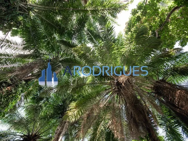 Imagem 14: Terrenos á Venda Exclusivo em Ilha Particular na Baía de Todos os Santos em São
