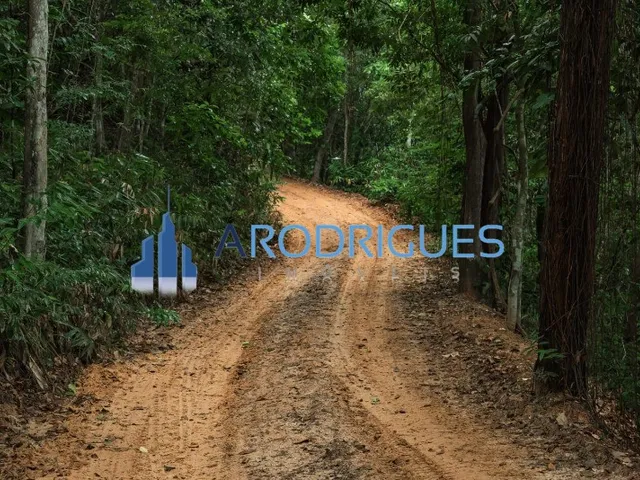 Imagem 13: Terrenos á Venda Exclusivo em Ilha Particular na Baía de Todos os Santos em São