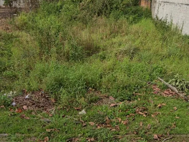 Imagem: Terreno em Shangri-la, Pontal do Paraná/PR