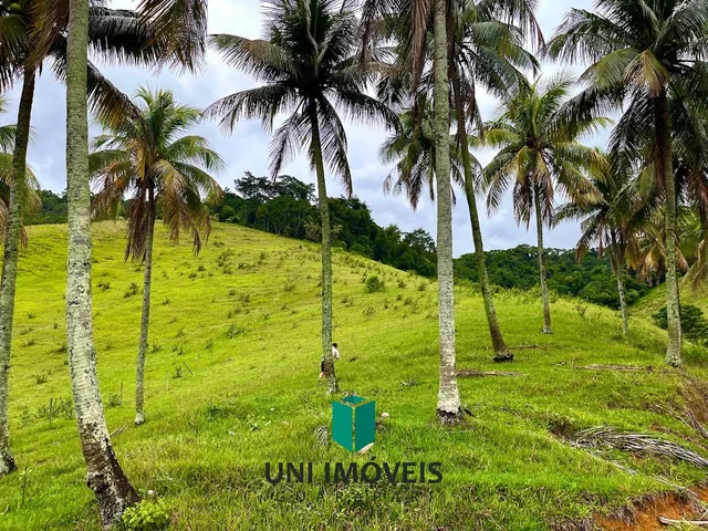 Imagem 13: Área rural à venda em Cachoeirinha, Guarapari - Natureza, água e excelente