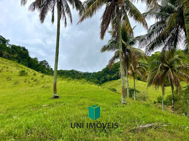 Imagem 12: Área rural à venda em Cachoeirinha, Guarapari - Natureza, água e excelente