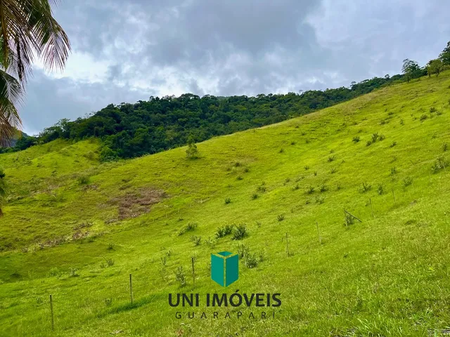 Imagem 4: Área rural à venda em Cachoeirinha, Guarapari - Natureza, água e excelente