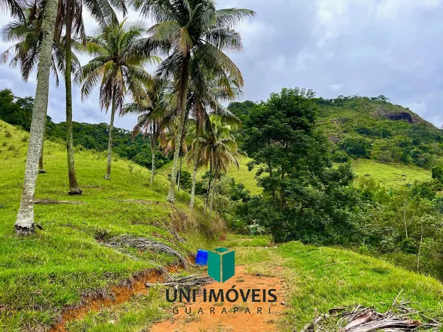 Imagem 9: Área rural à venda em Cachoeirinha, Guarapari - Natureza, água e excelente